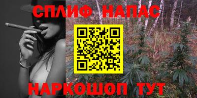 apvp Будённовск