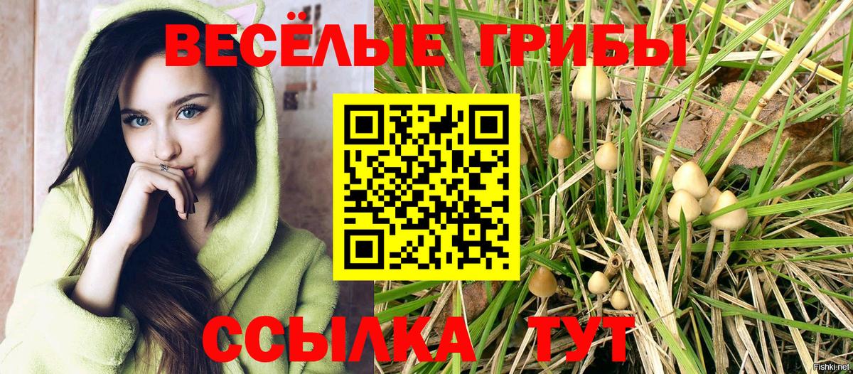 Галлюциногенные грибы MAGIC MUSHROOMS  Вход с VPN  Сафоново 